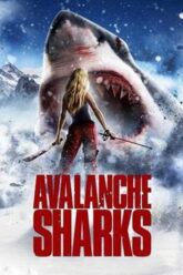 avalanche-sharks